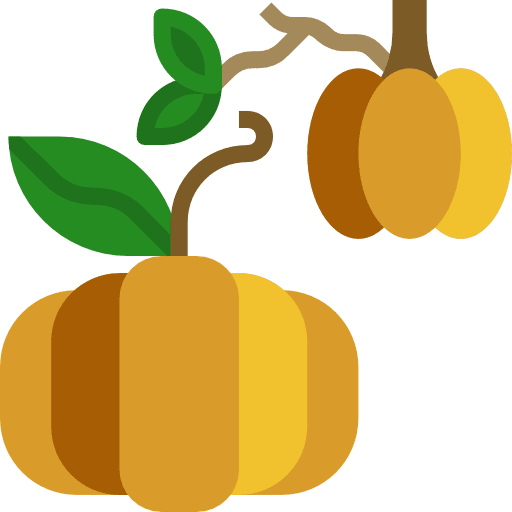 Pumpkin diet fruit food and restaurant icon