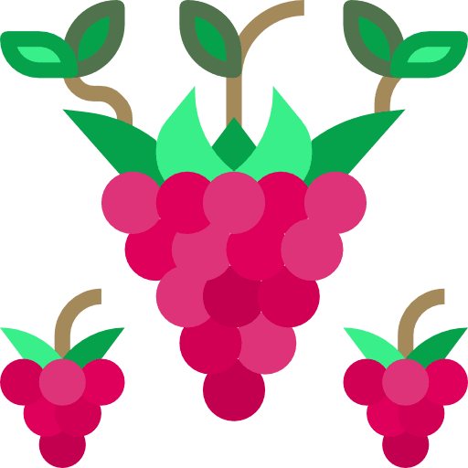 Raspberry diet healthy food fruit icon