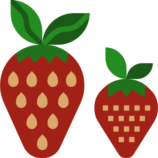 Strawberry healthy food organic nutrition icon