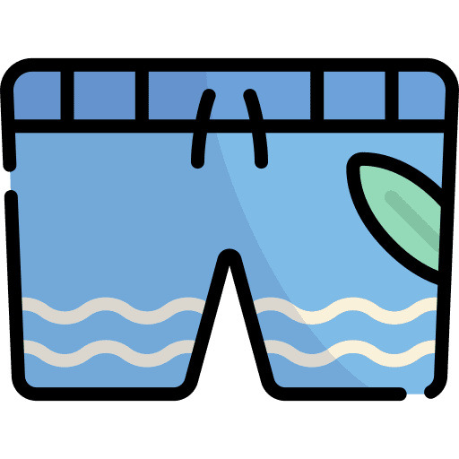 Swimsuit beach fashion clothes icon