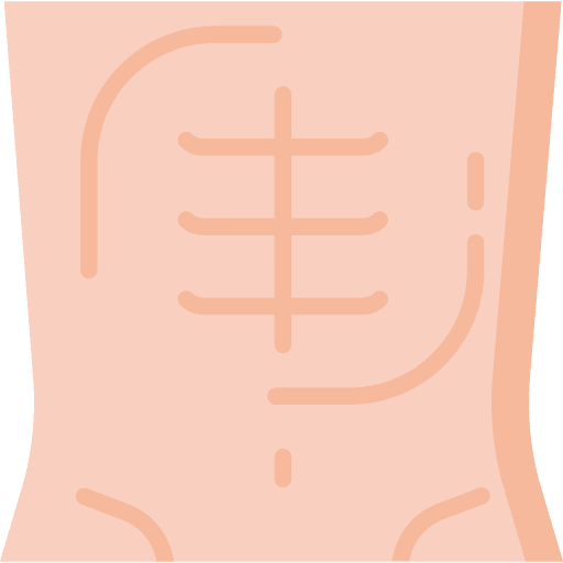 Abs healthcare and medical healthy muscles icon