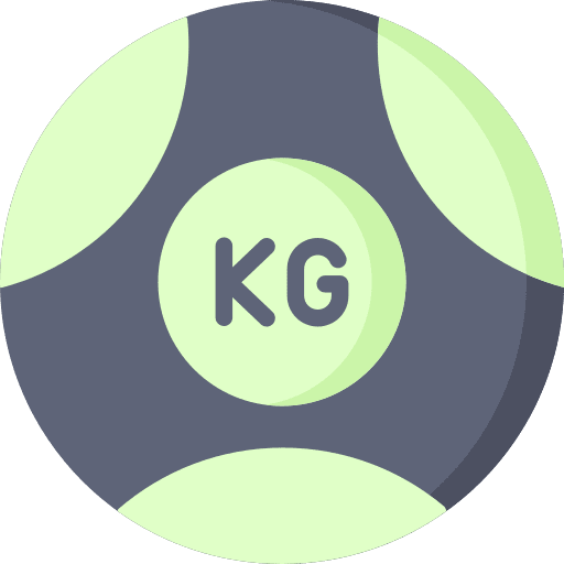 Medicine ball gymnasium sport gymnast icon