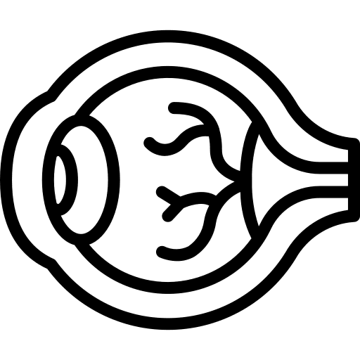 Eye vision eye medical icon