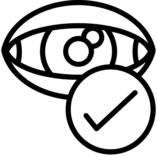 Eye vision eye check mark icon