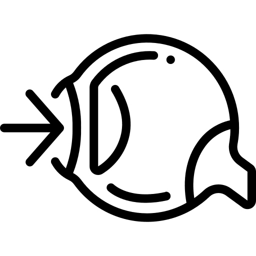 Eye vision organ body organ icon