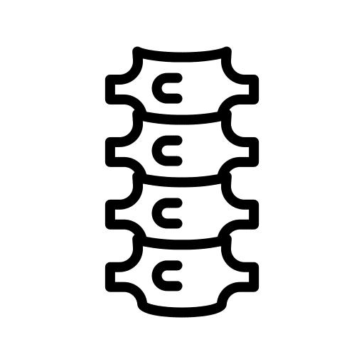 Spine backbone human body bone icon