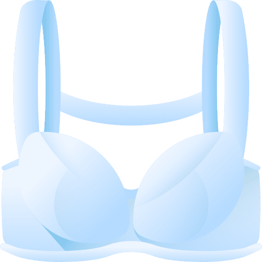 Bra clothing femenine garment icon
