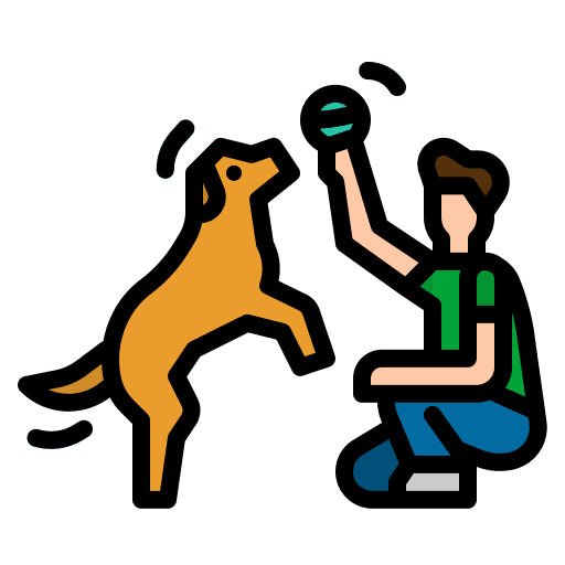 Dog training dog animals icon
