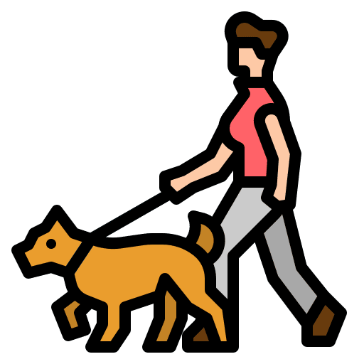 Dog woman walker walking icon