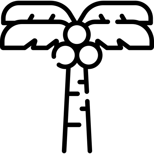 Island oasis desert tropical icon