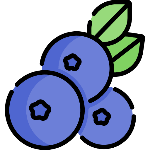 Blueberry blueberries food fruit icon