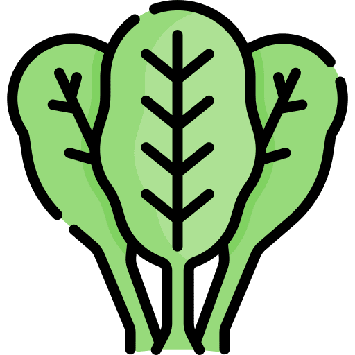 Spinach spinach healthy food organic icon