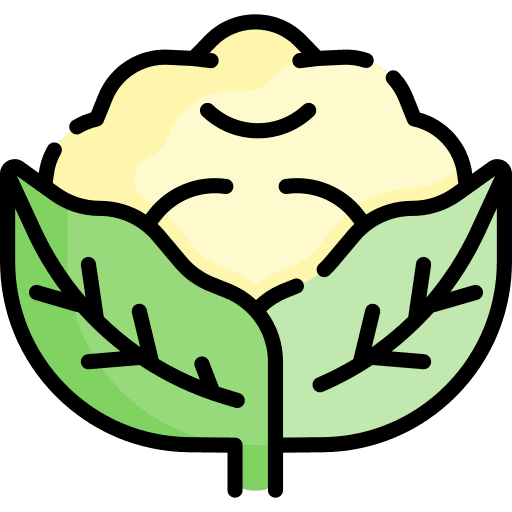 Cauliflower food and restaurant vegetarian organic icon