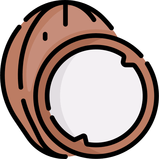 Coconut coconut food and restaurant fruit icon