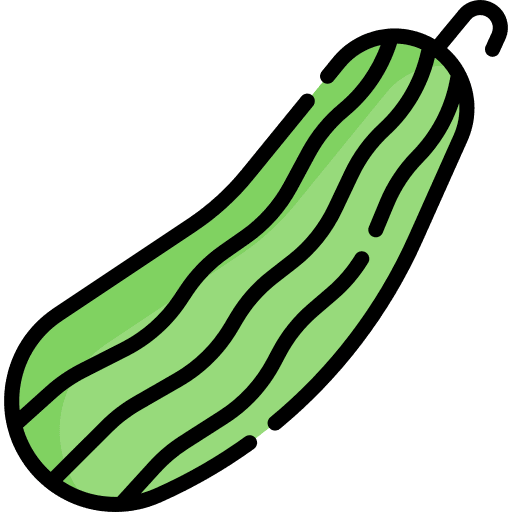 Cucumber organic vegetarian diet icon