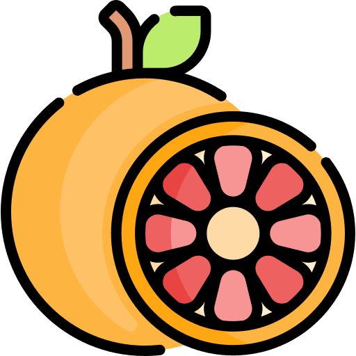 Grapefruit vegan food diet icon