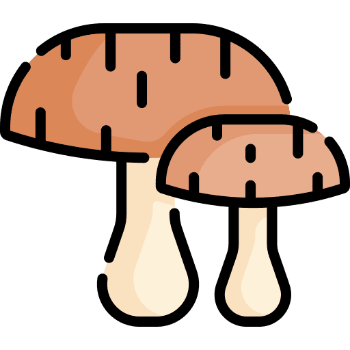 Mushroom nature fungi food and restaurant icon