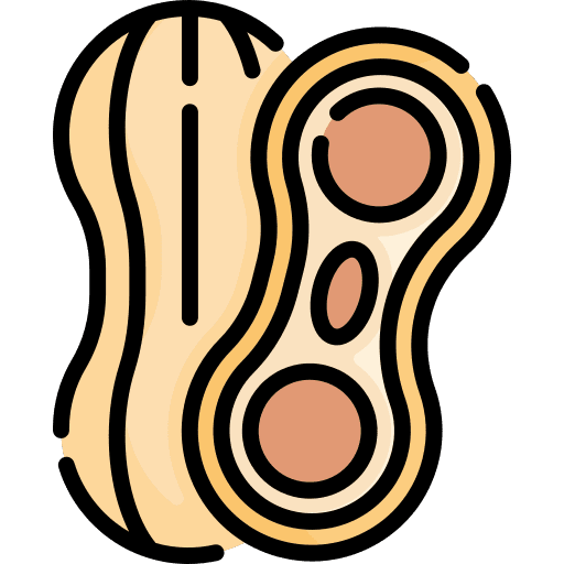 Peanut nut snack healthy food icon