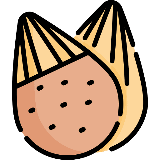 Almond vegetarian almond healthy food icon