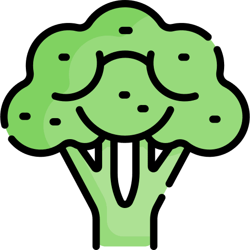 Broccoli broccoli healthy food food and restaurant icon