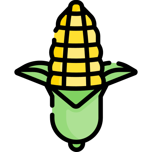 Corn fruit healthy food food icon