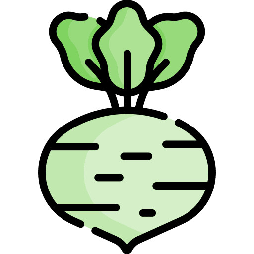 Kohlrabi vegetable vegetarian vegan icon