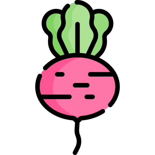 Radish vegan farming diet icon