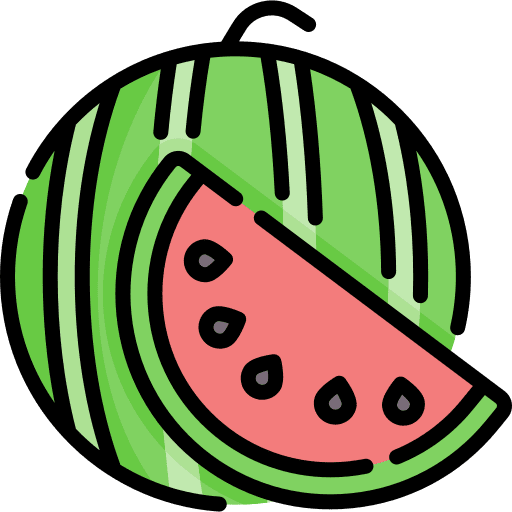 Watermelon healthy food fruit watermelon icon