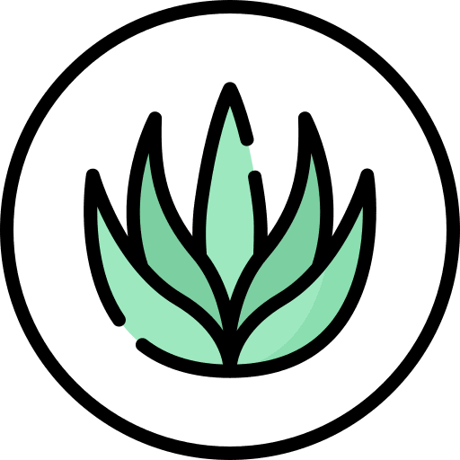 Aloe vera nature farming and gardening aloe vera icon