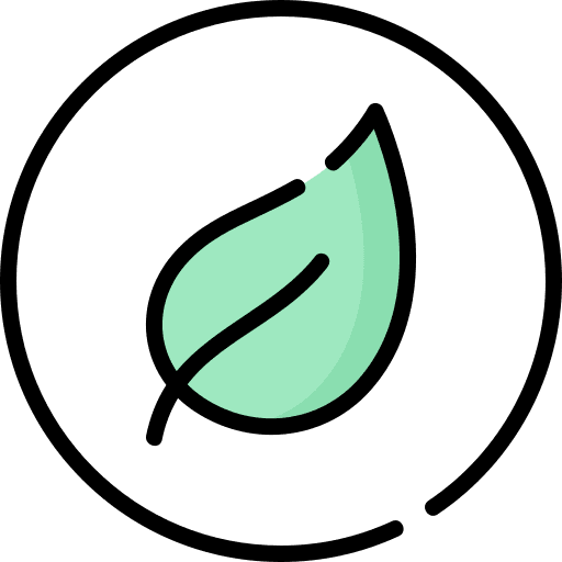 Organic product nature certified eco friendly icon
