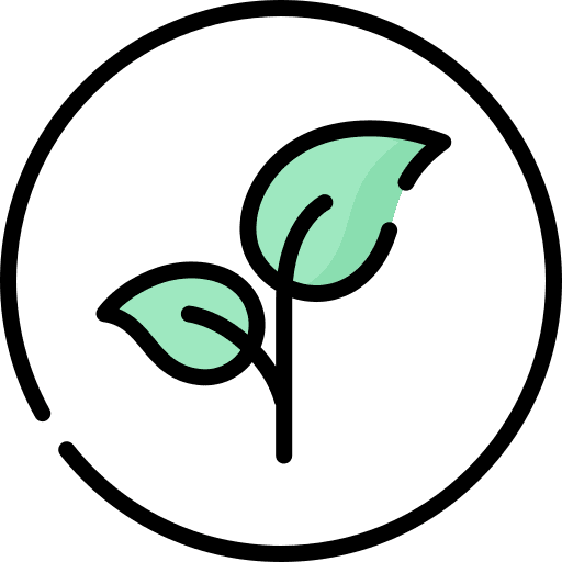 Plant based plant based fruit organic icon