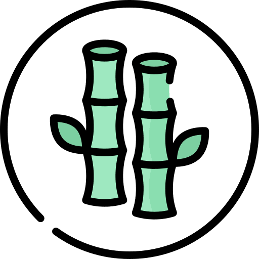 Organic organic nature bamboo icon