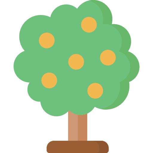 Orange tree plant nature orange tree icon