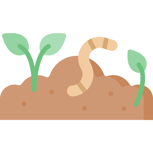 Worms insect entomology zoology icon