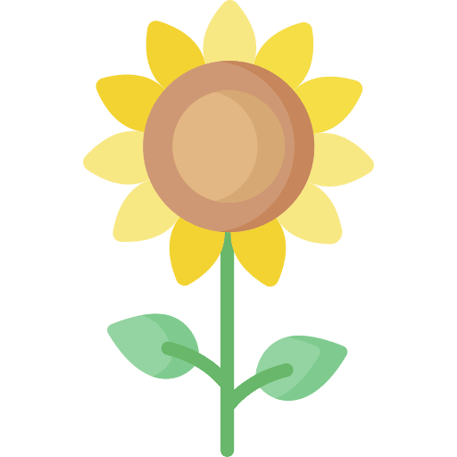 Sunflower sunflower botanical nature icon