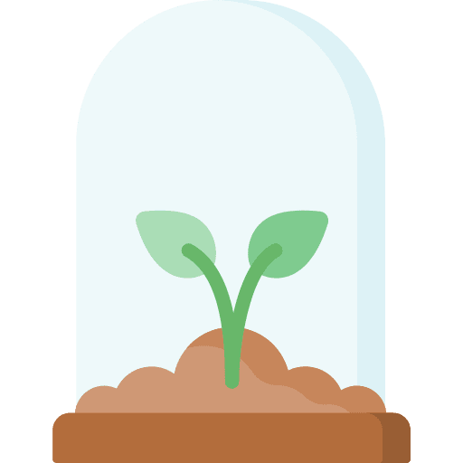 Plant plant ecology and environment sunny icon