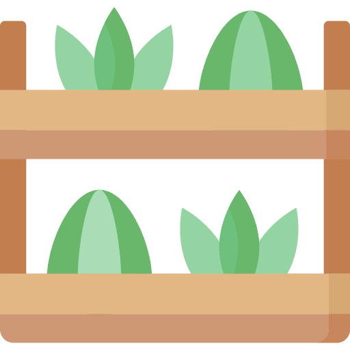 Plants farming and gardening nature cactus icon