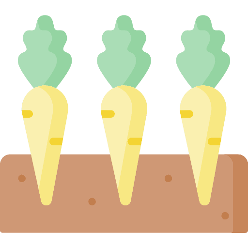 Carrots vegan carrots organic icon