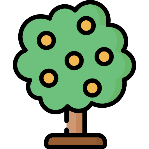 Orange tree plant orange tree nature icon
