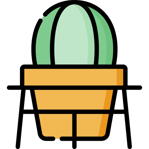 Cactus decoration farming and gardening cactus icon