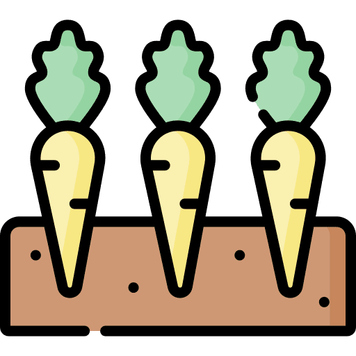 Carrots harvest diet vegan icon