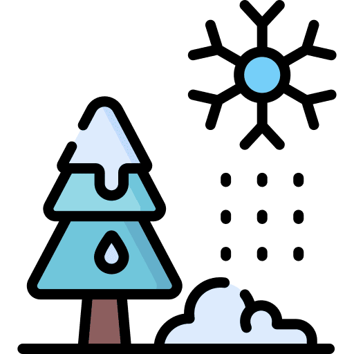 Cold weather pine tree snow icon
