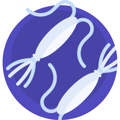 Plankton animals aquatic floating icon