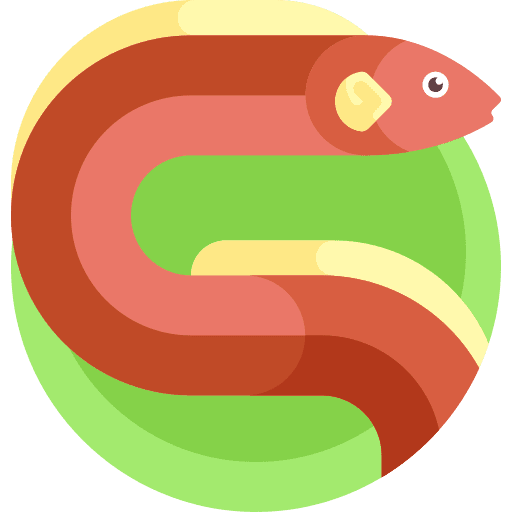 Eel animal kingdom animals eel icon