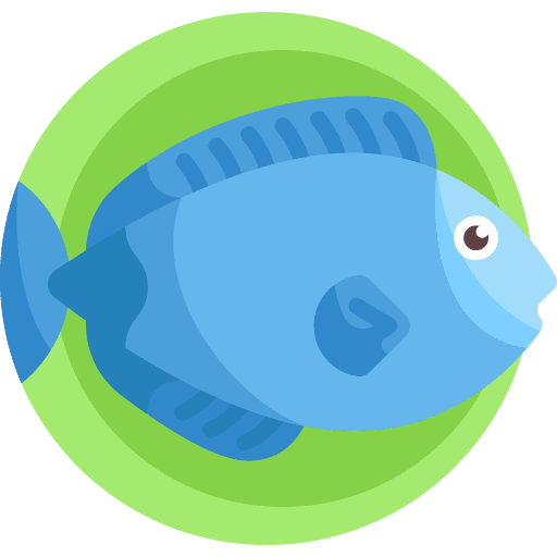 Fish animal kingdom animals marine icon