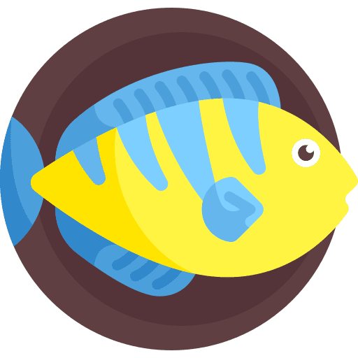 Fish aquatic fish wild life icon