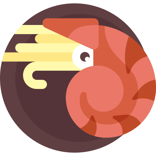 Nautilus aquatic shell marine icon