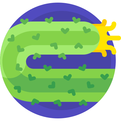 Sea cucumber animal kingdom marine animals icon