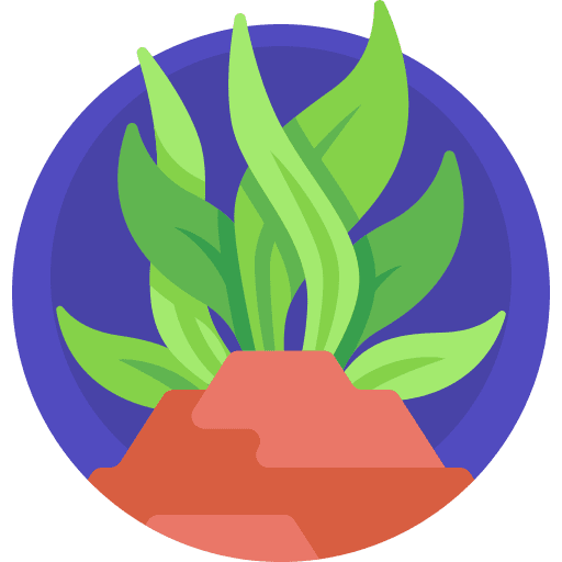 Seaweed nature aquatic sea life icon
