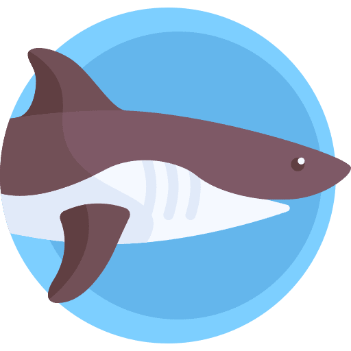 Shark animal kingdom marine aquatic icon